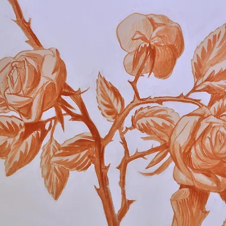 Les Roses *